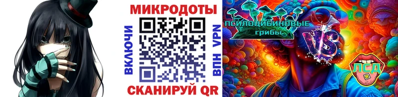 Псилоцибиновые грибы Psilocybine cubensis  Звенигово 
